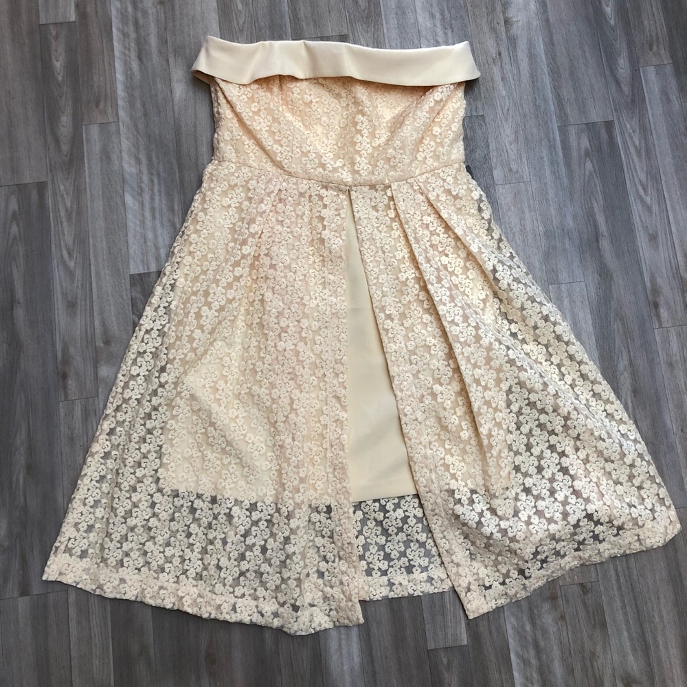 Strapless Eva Mendes Dress